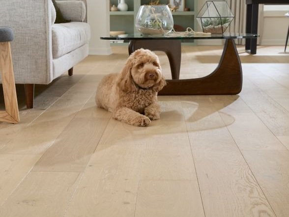 best flooring for pets